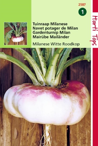 Knolraap Milanese (Brassica rapa) 4000 zaden